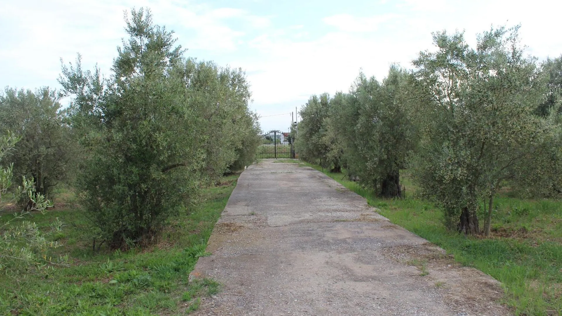 Guest house Country Stone Villa Paralia Dionysiou