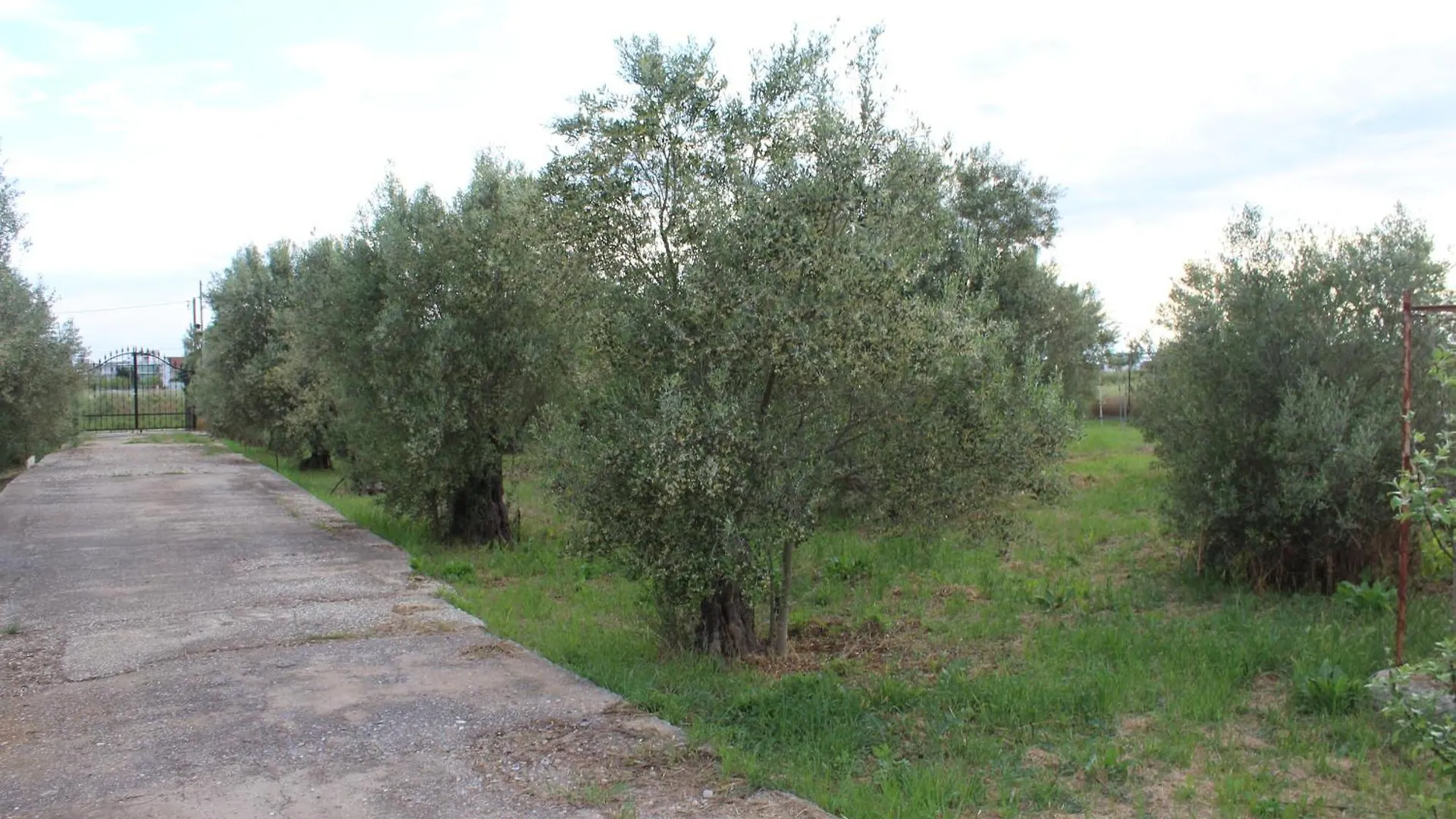 Guest house Country Stone Villa Paralia Dionysiou Greece
