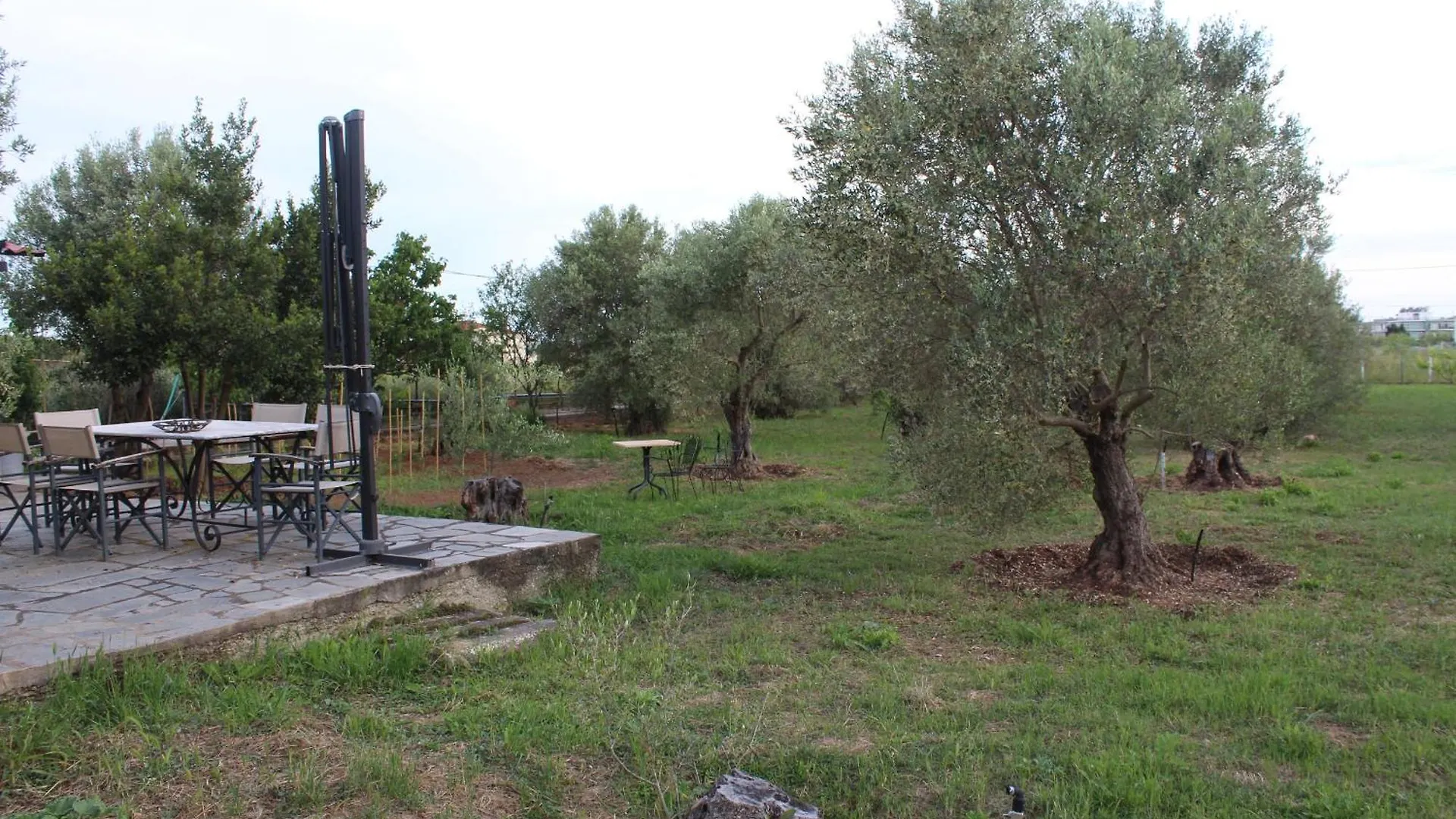 Country Stone Villa Paralia Dionysiou 0*,