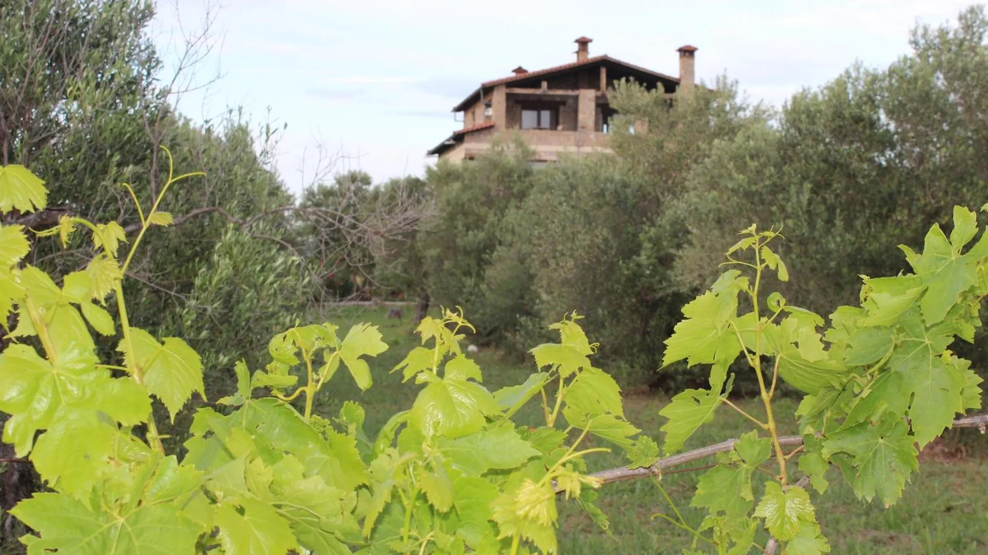 Country Stone Villa Paralia Dionysiou